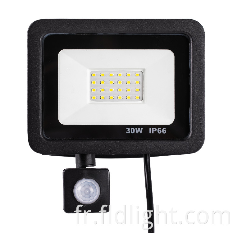 induction outdoor flood light